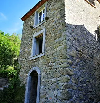 Foto annuncio 20