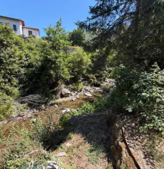 Foto annuncio 28