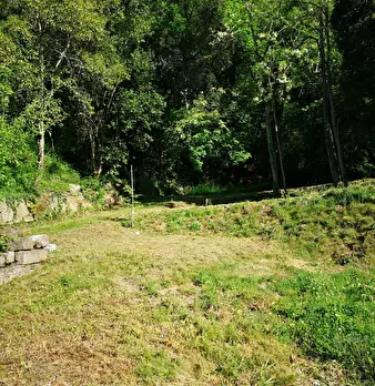 Foto annuncio 11