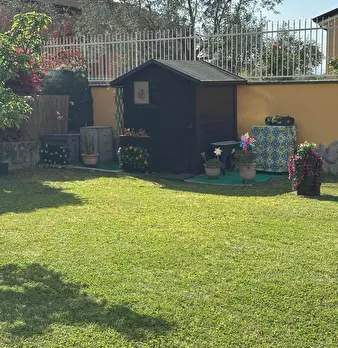 Foto annuncio 44