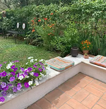 Foto annuncio 26