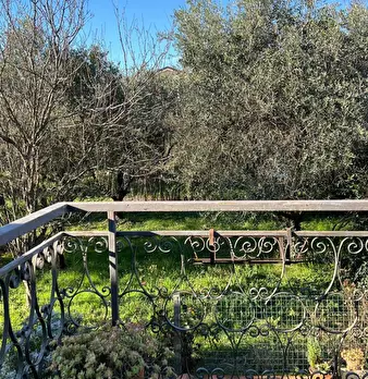 Foto annuncio 18