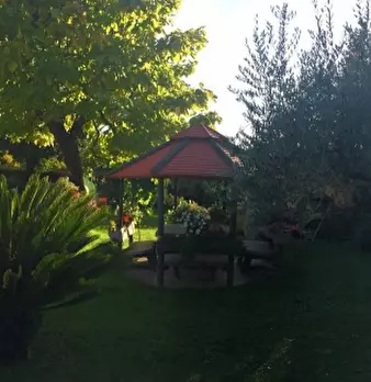 Foto annuncio 36