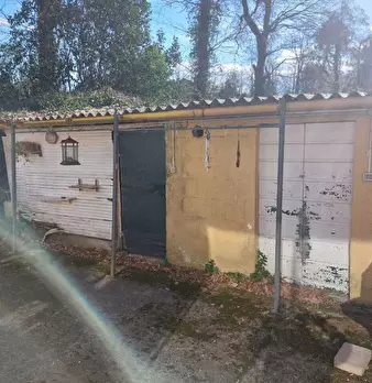 Foto annuncio 18