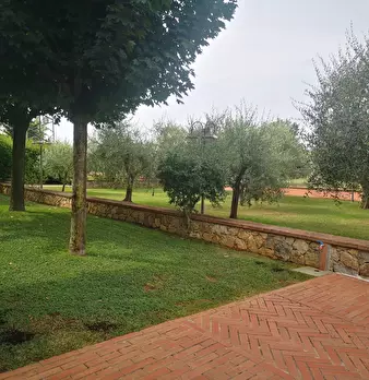Foto annuncio 11