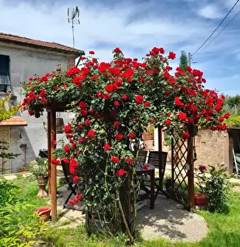Foto annuncio 29