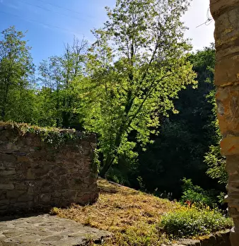 Foto annuncio 37