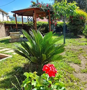 Foto annuncio 32
