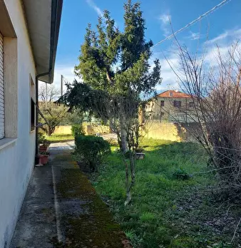 Foto annuncio 5
