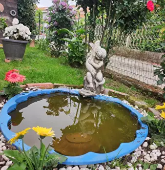 Foto annuncio 33