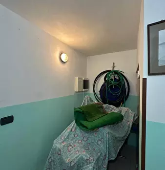 Foto annuncio 50