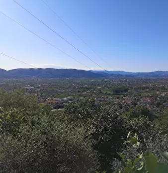 Foto annuncio 9