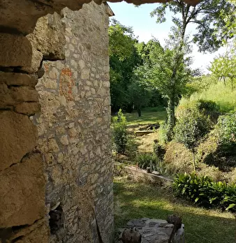 Foto annuncio 58