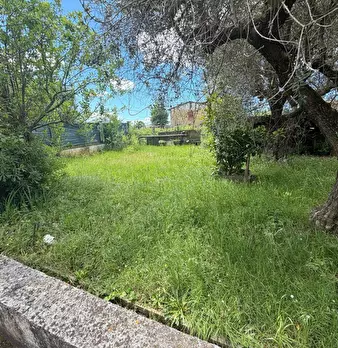 Foto annuncio 14