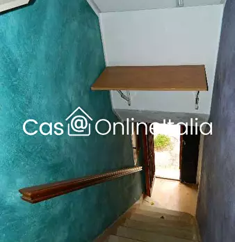 Foto annuncio 10