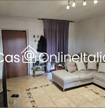 Foto annuncio 12