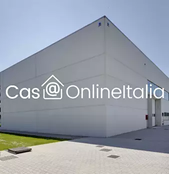 Foto annuncio 8