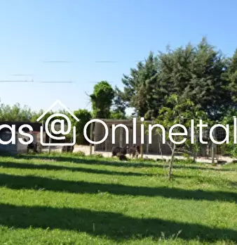 Foto annuncio 19