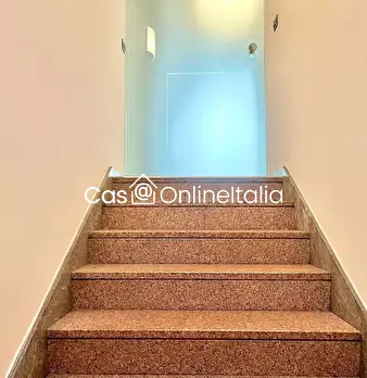 Foto annuncio 12