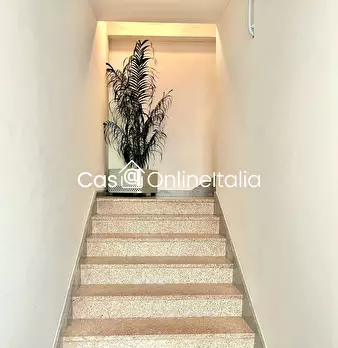 Foto annuncio 12