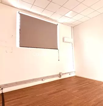 Foto annuncio 12