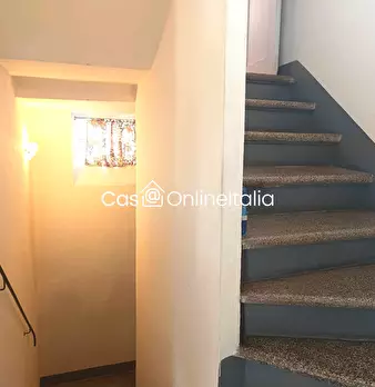 Foto annuncio 10