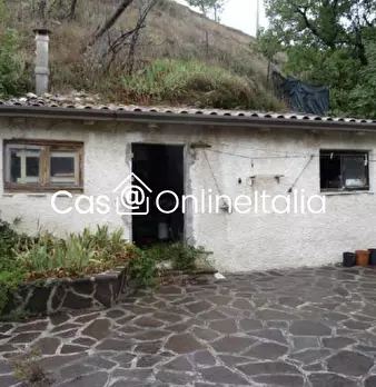 Foto annuncio 7