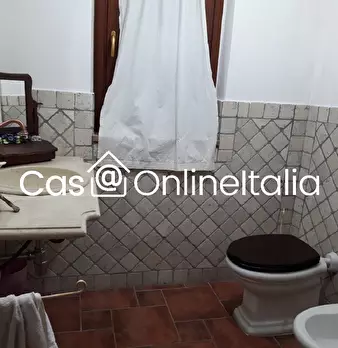 Foto annuncio 24