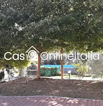 Foto annuncio 85