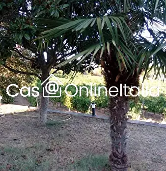 Foto annuncio 89