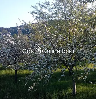 Foto annuncio 90