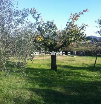 Foto annuncio 100