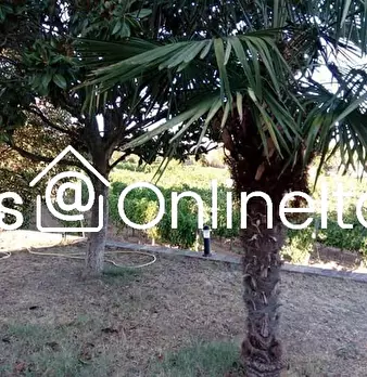 Foto annuncio 102