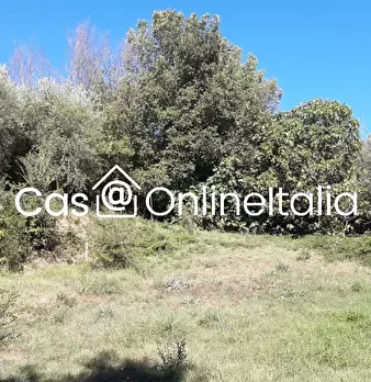 Foto annuncio 99
