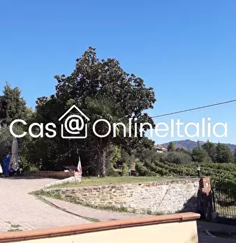 Foto annuncio 106