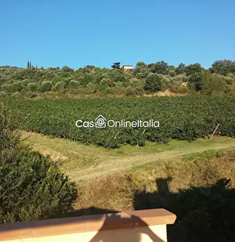 Foto annuncio 103
