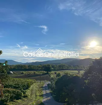 Foto annuncio 108