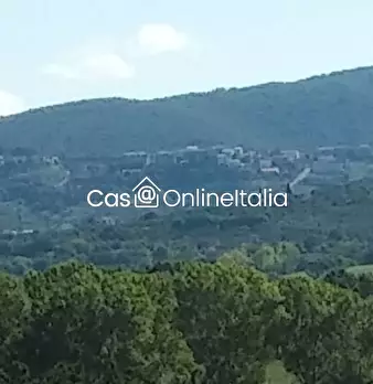 Foto annuncio 109