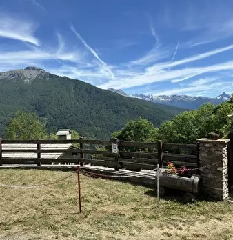 Foto annuncio 3