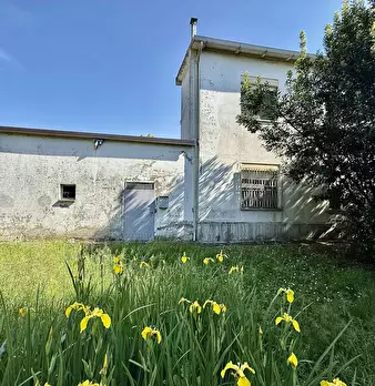 Foto annuncio 3