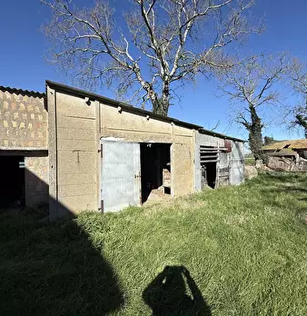 Foto annuncio 1