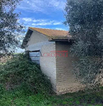 Foto annuncio 3