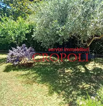 Foto annuncio 4