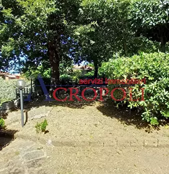 Foto annuncio 8