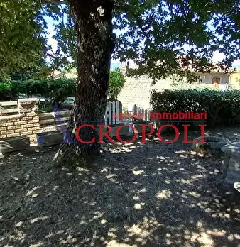 Foto annuncio 6