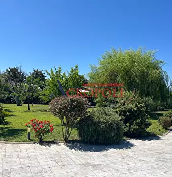 Foto annuncio 9