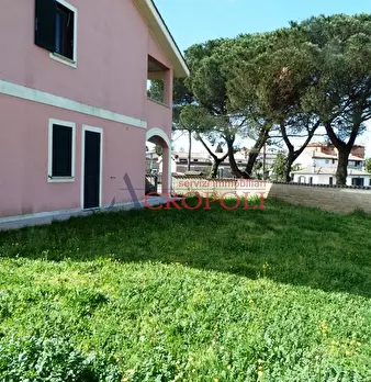 Foto annuncio 5