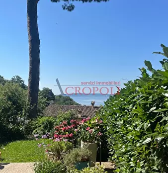 Foto annuncio 6