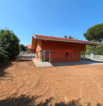 Foto annuncio 5