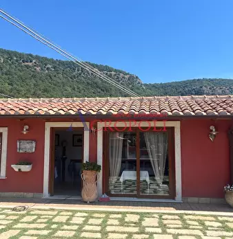 Foto annuncio 8